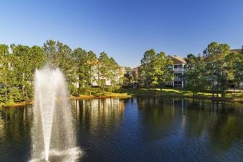 Lakeside views